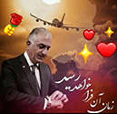 شاه شاهان رضا شاه دوم