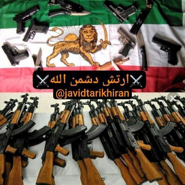 photo 2025 04 08 02 20 20